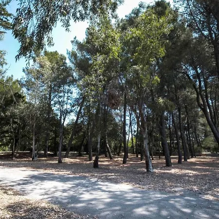 Viva Villa Putignano